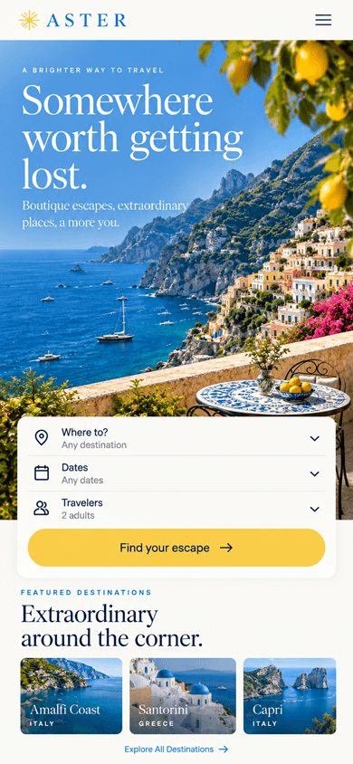 Aster mobile website design concept